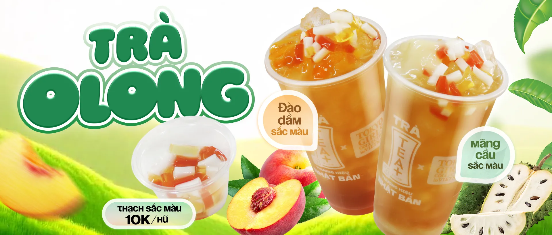 🍃 THANH MÁT TRÀ OLONG, MỀM DAI THẠCH SẮC MÀU 🍑